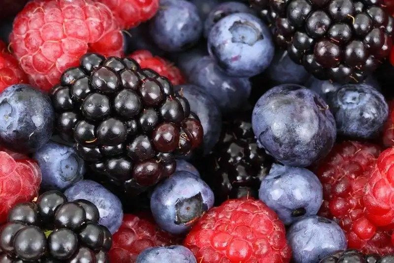 how to study for a food safety job with the fsis 1646703251 7580