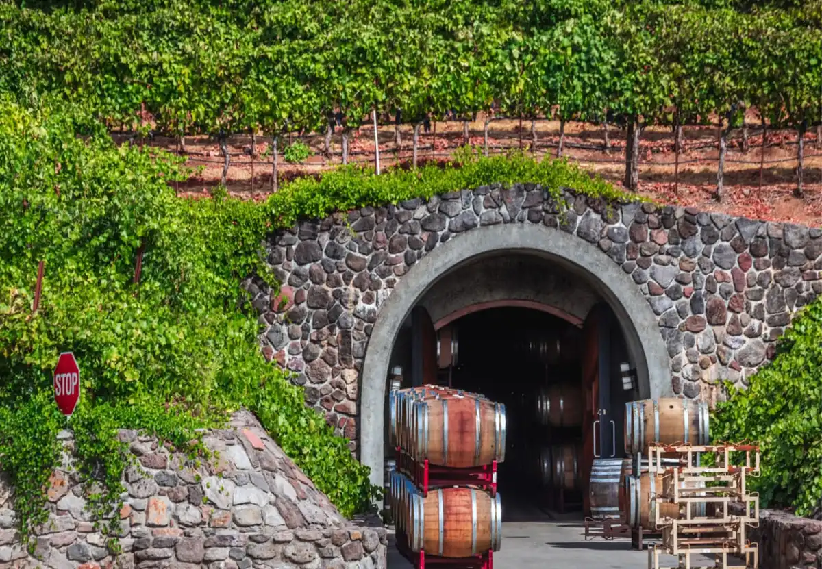 winery staff overseeing wine production