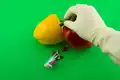5 ways to use food handling gloves in your kitchen 1646385880 2073