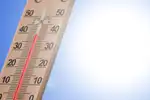 A Comprehensive Guide to Buying the Right Food Thermometer