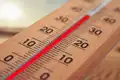 best kitchen thermometer reviews tips and best deals 1642127775 2868