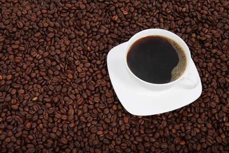 conclusion to restaurant coffee suppliers 1644529761 9986