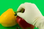 Disposable Food Handling Gloves- What You Need to Know