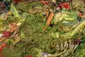 food waste management 6 strategies to reduce the impact of food waste 1650036751 6135