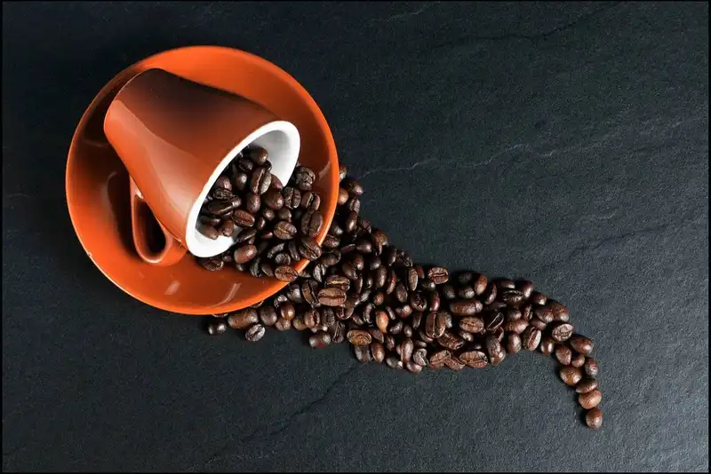how to find the best restaurant coffee suppliers 1644529760 4330