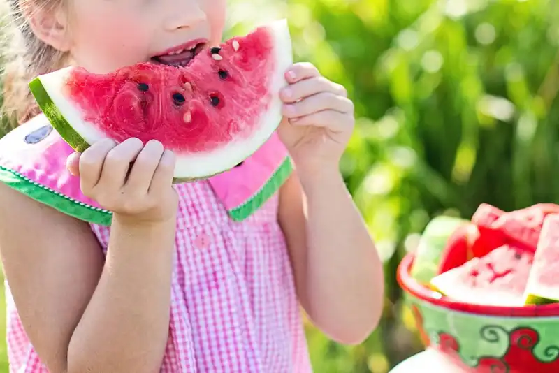 know more about food safety modernization act 1648122766 3005