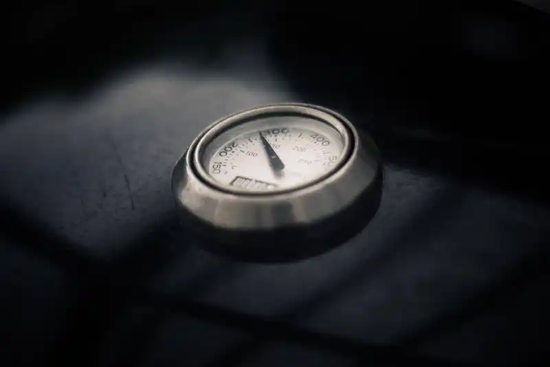 pros and cons of the bluetooth bbq thermometer 1646913989 8576