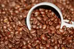 The Importance Of Food and Beverage Handling Processes