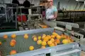 three steps to creating a food safety plan 1646410681 5678