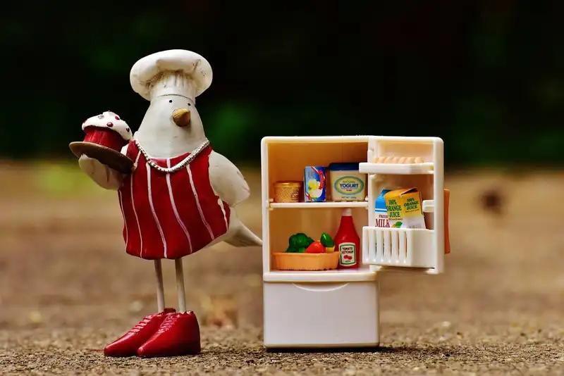 what are cdc food safety guidelines 1649069347 7281