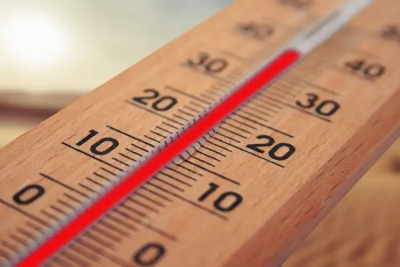 what is a bluetooth food thermometer 1648515846 2815