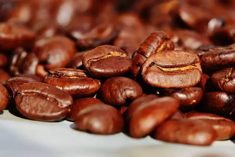 what to consider when choosing restaurant coffee suppliers 1644529760 1621