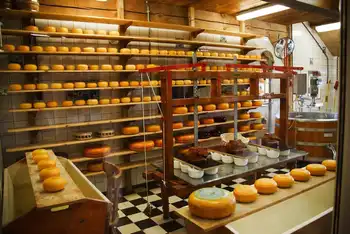 What You Need to Know About Food Tech Safety