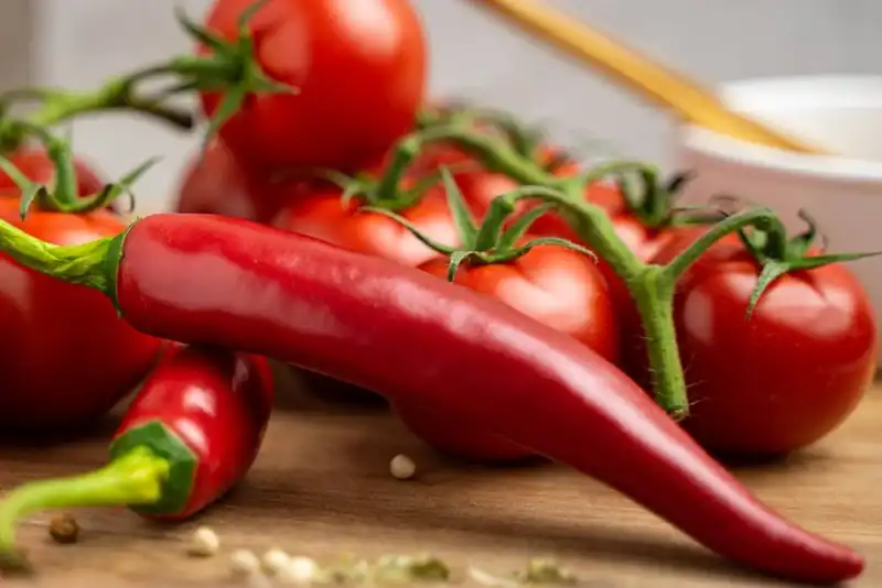 when looking for a restaurant food supplier what are you looking for 1647479083 3397